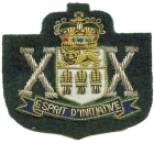 Embroidered Blazer Badge